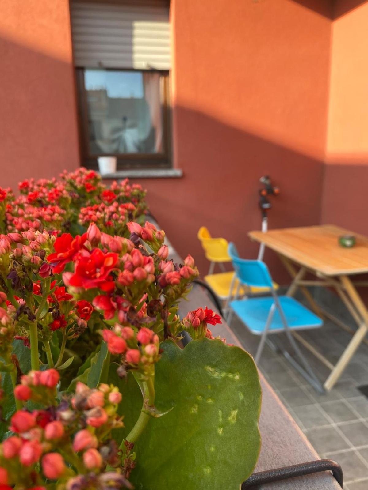 Luce Place Authentic Getaway Appartement Milan