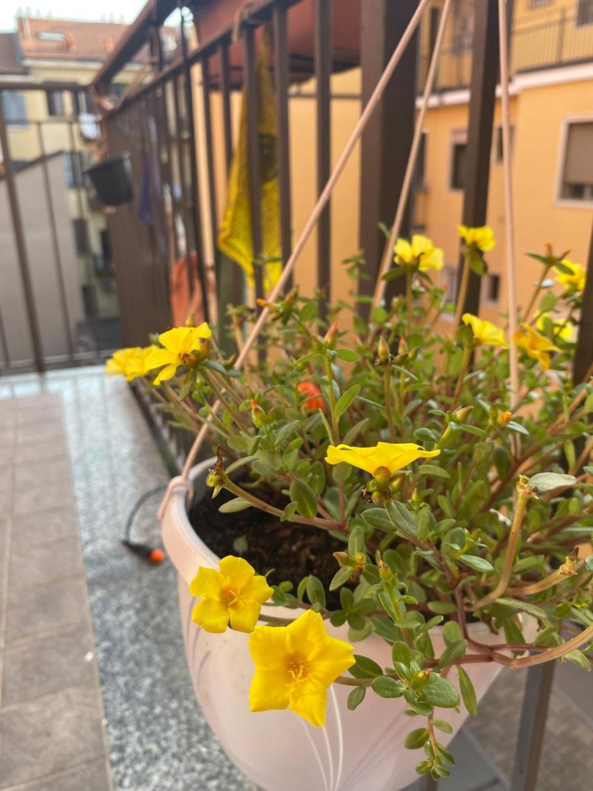 Luce Place Authentic Getaway Appartement *